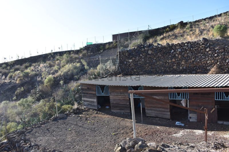 Finca rústica en venta en Avenida Isora