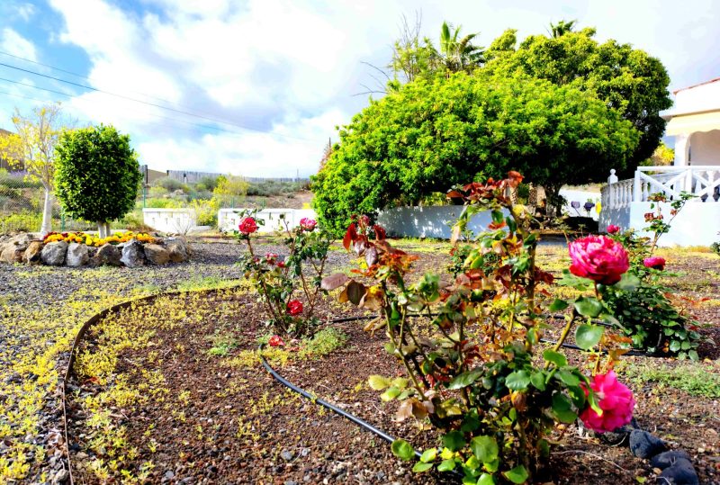 Casa o chalet independiente en venta en piedra hincada