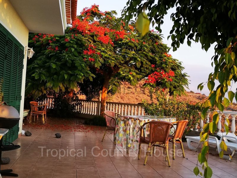 Casa o chalet independiente en venta en Guia de Isora