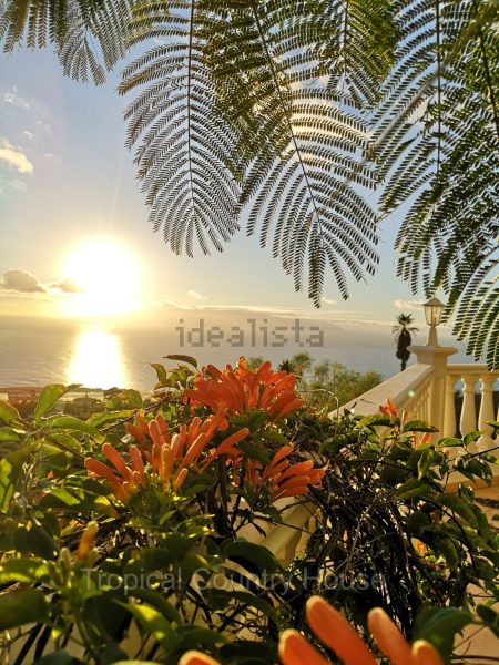 Casa o chalet independiente en venta en Guia de Isora