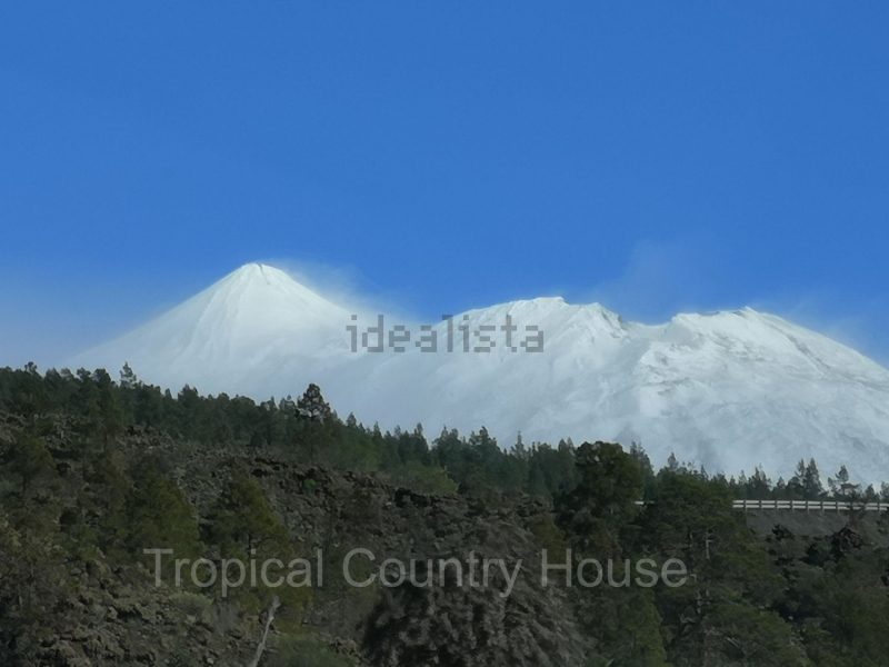 Casa o chalet independiente en venta en Guia de Isora