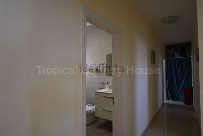 Casa o chalet independiente en venta en Tijoco