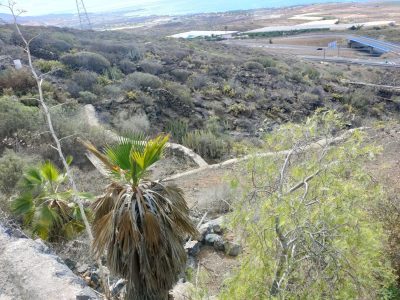 Casa o chalet independiente en venta en Camino de las Moraditas, 1