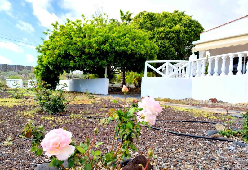 Casa o chalet independiente en venta en piedra hincada