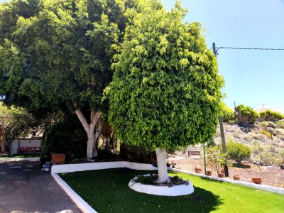 Casa o chalet independiente en venta en piedra hincada