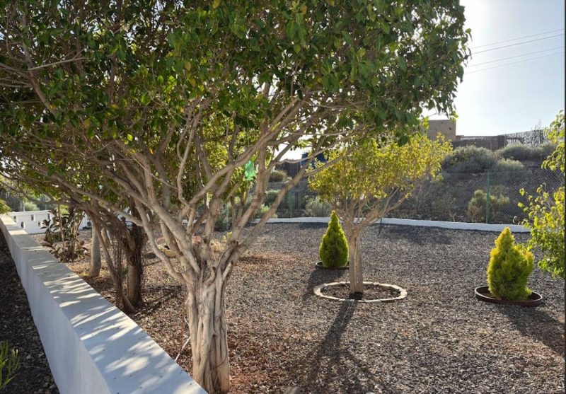 Casa o chalet independiente en venta en piedra hincada