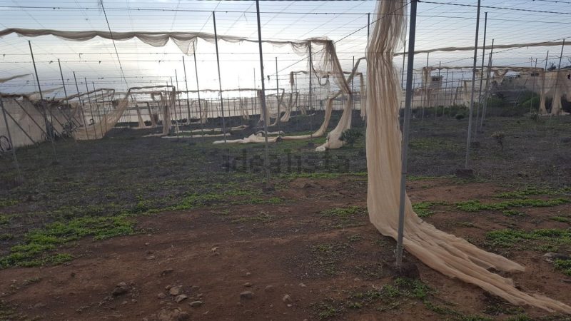 Finca rústica en venta en Tijoco