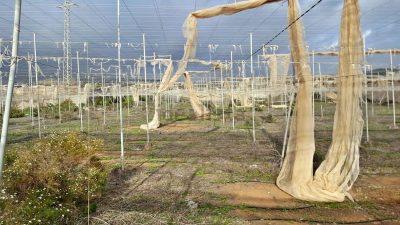 Finca rústica en venta en Tijoco