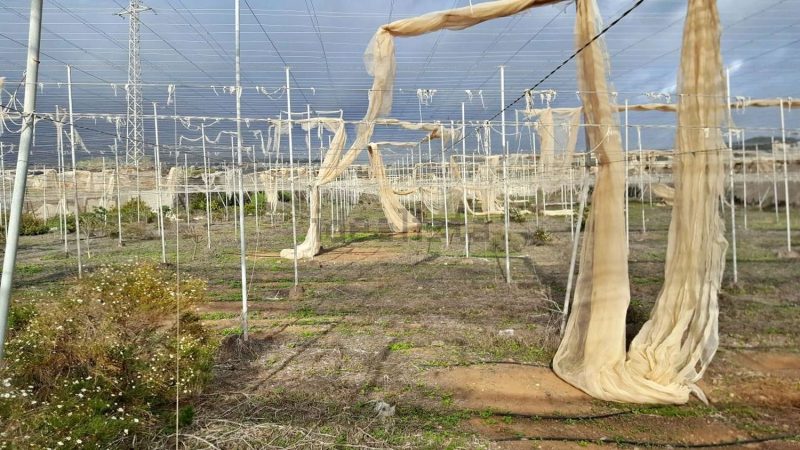 Finca rústica en venta en Tijoco