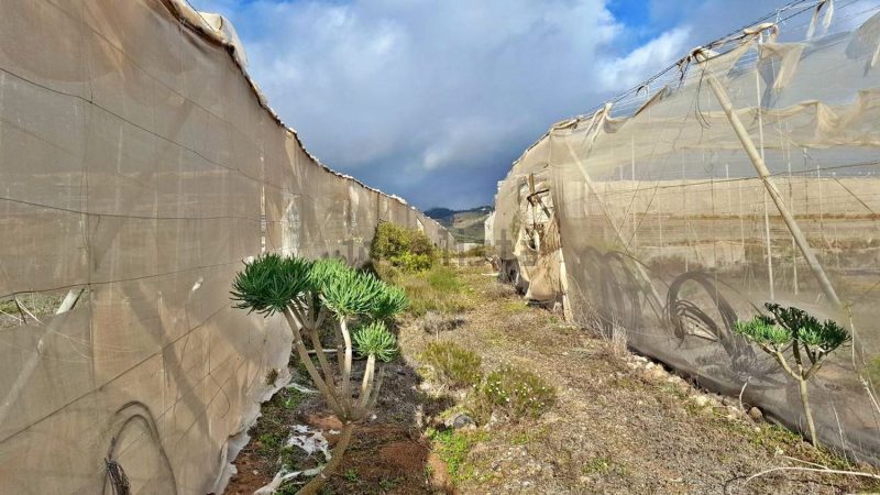 Finca rústica en venta en Tijoco