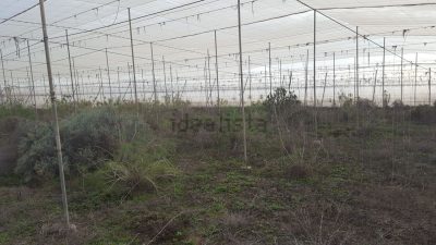Finca rústica en venta en Tijoco