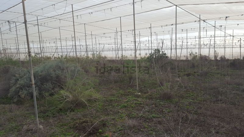 Finca rústica en venta en Tijoco