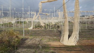 Finca rústica en venta en Tijoco