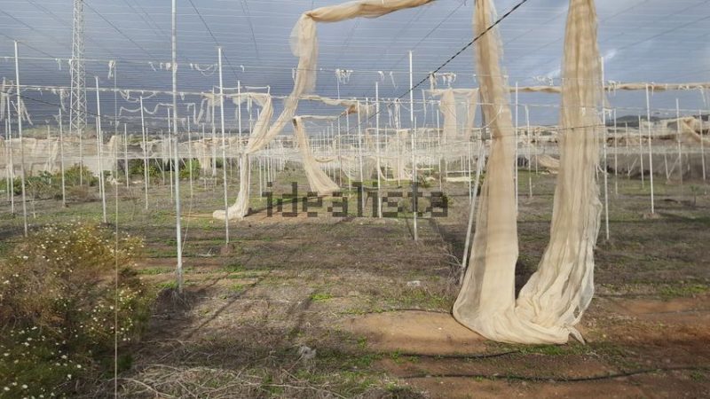 Finca rústica en venta en Tijoco