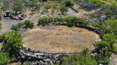 Finca rústica en venta en Guia de Isora