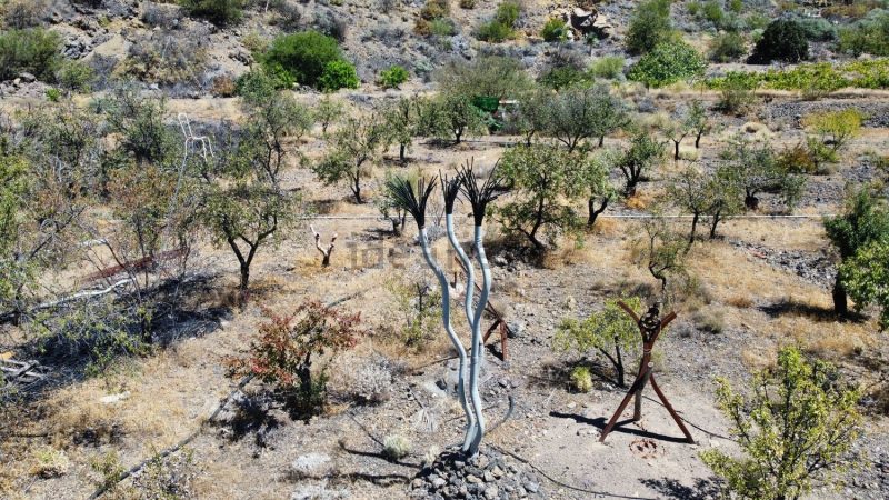 Finca rústica en venta en Guia de Isora