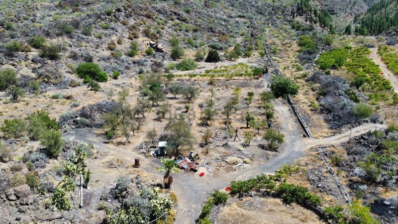 Finca rústica en venta en Guia de Isora