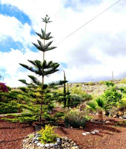 Casa o chalet independiente en venta en piedra hincada