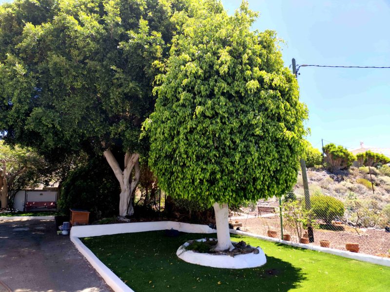 Casa o chalet independiente en venta en piedra hincada
