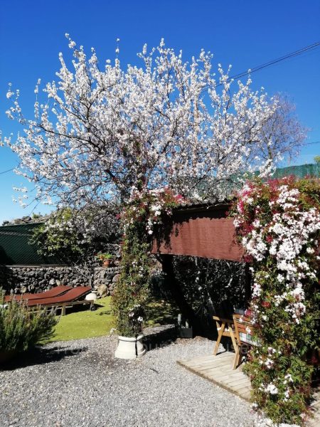 Casa de pueblo en venta en Guia de Isora