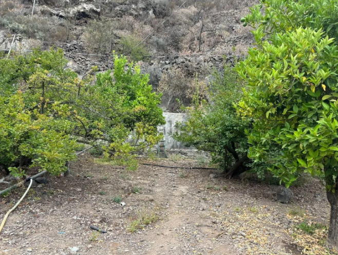 Finca rústica en venta en Guia de Isora