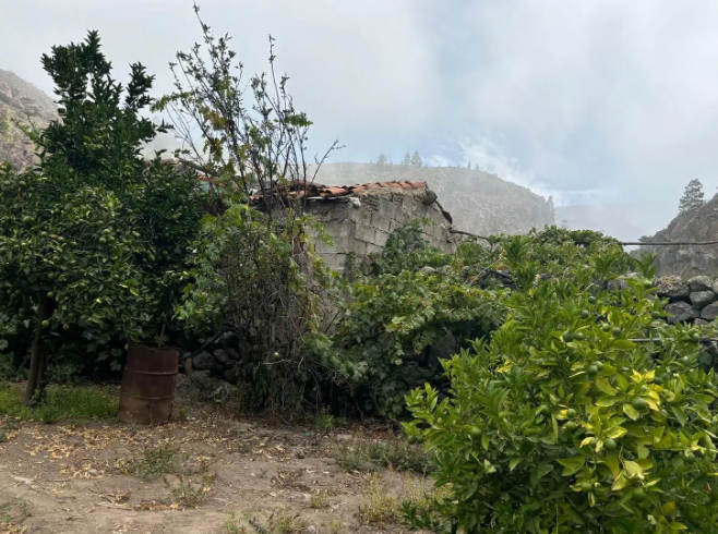 Finca rústica en venta en Guia de Isora