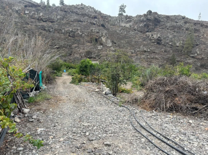 Finca rústica en venta en Guia de Isora
