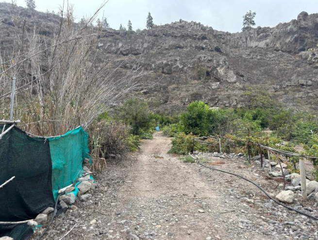 Finca rústica en venta en Guia de Isora