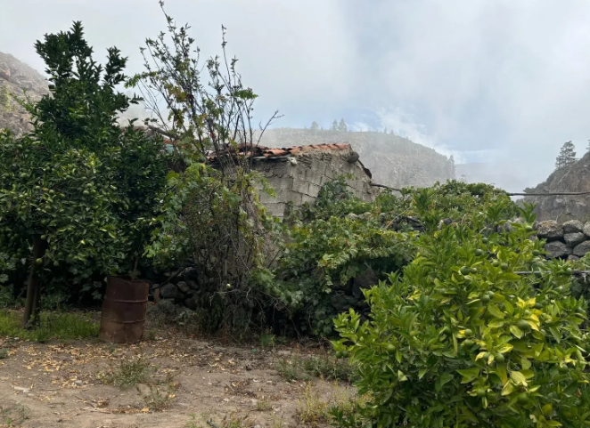 Finca rústica en venta en Guia de Isora