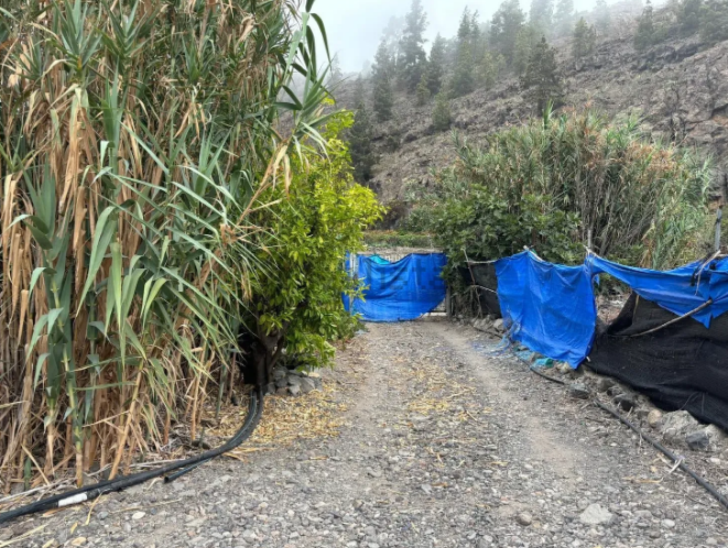 Finca rústica en venta en Guia de Isora