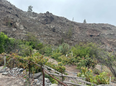 Finca rústica en venta en Guia de Isora