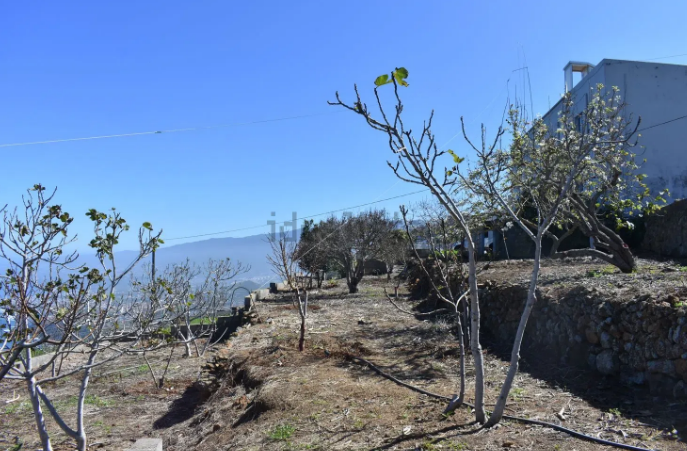 Casa o chalet independiente en venta en Camino El Riego, 111