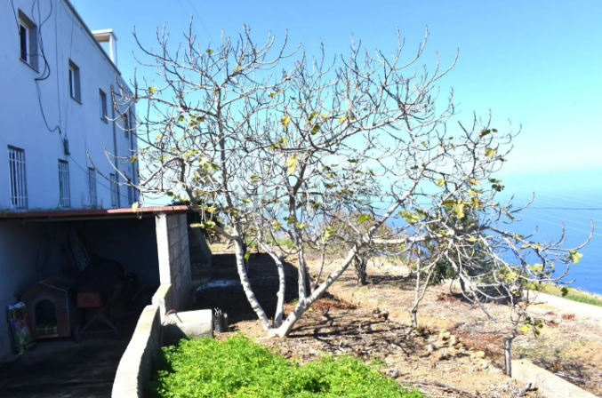 Casa o chalet independiente en venta en Camino El Riego, 111