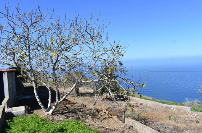 Casa o chalet independiente en venta en Camino El Riego, 111