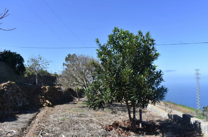 Casa o chalet independiente en venta en Camino El Riego, 111